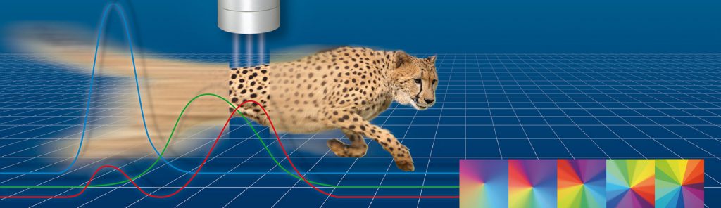 Farbe-Glanz-Oberflächeneffekte › [mu:v] GmbH